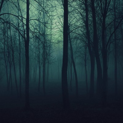 1920 x 1080 HD Wallpapers 1859